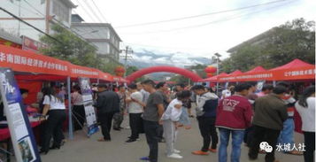 大連市商務局赴水城縣都格鎮召開勞務 扶貧現場招聘會